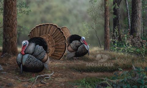 The Painting Behind the 2023 Mossy Oak Wild Turkey Stamp and